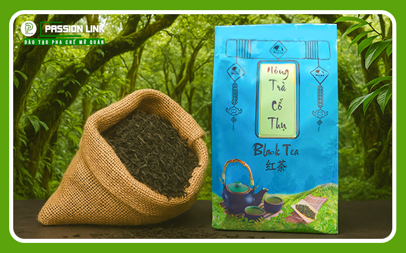 hồng trà cổ thụ