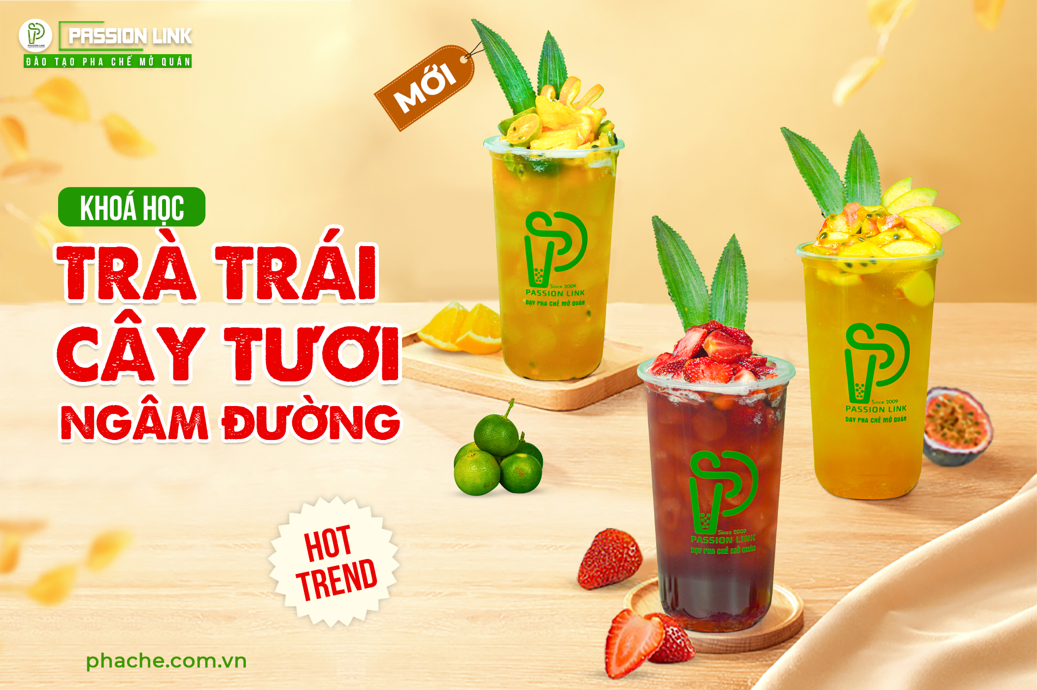 KHÓA HỌC TRÀ TRÁI CÂY TƯƠI NGÂM ĐƯỜNG